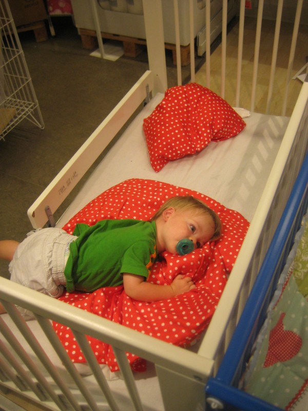 virginia2009 015 virginia2009 015