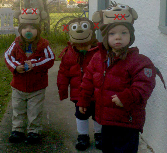 seehearspeak seehearspeak