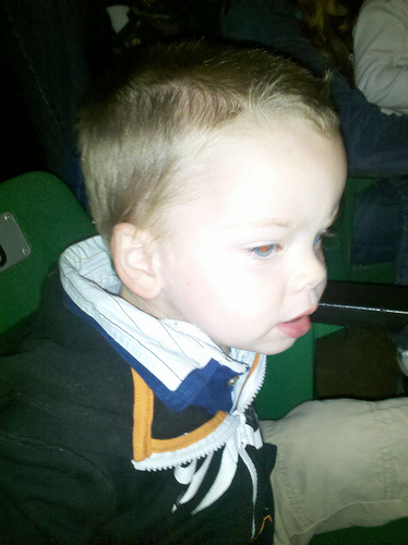 5104442511_5a263803bf