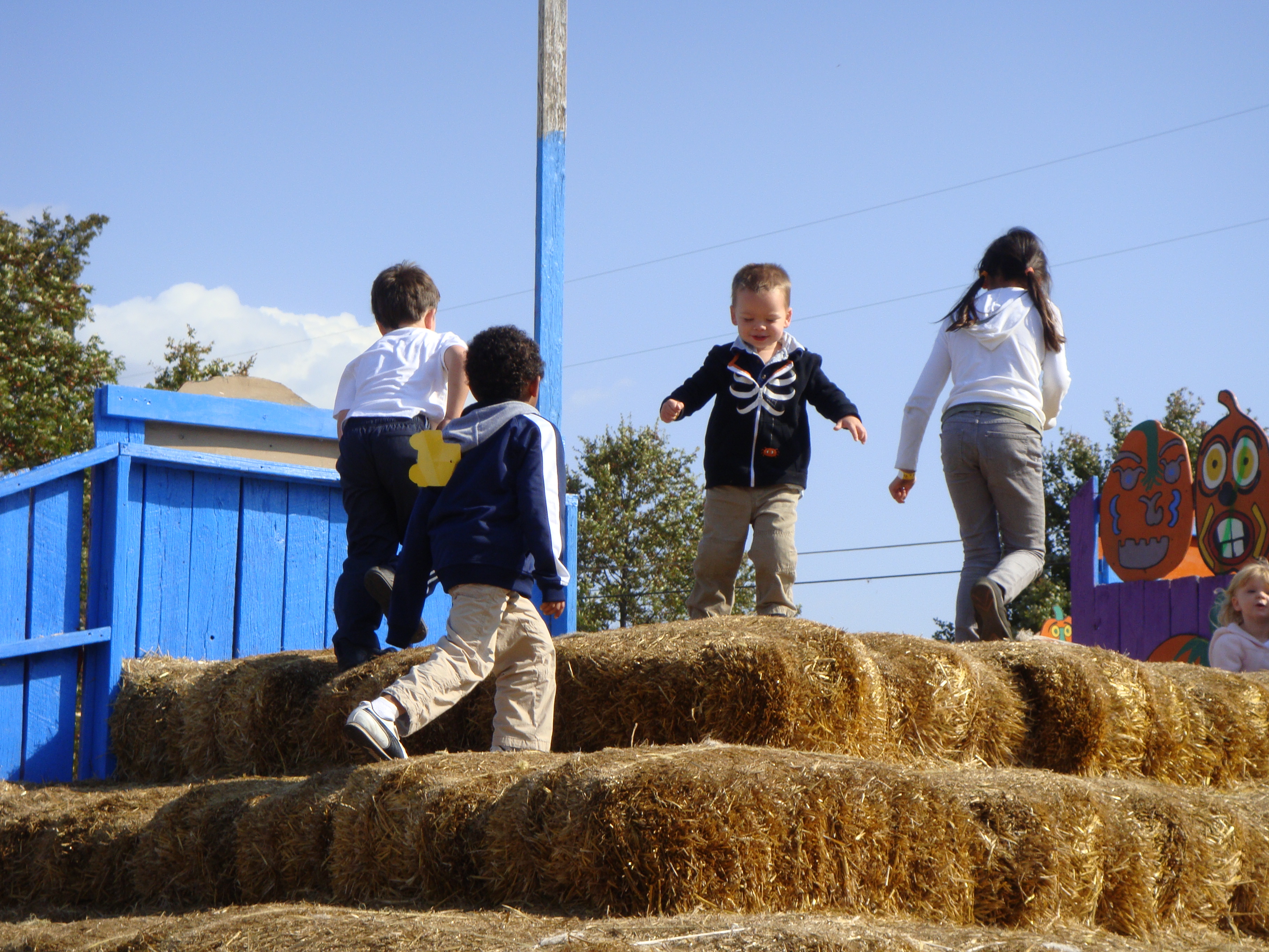 6230995840_bfc23ecef8_o