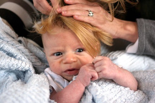 If Andrew is a blonde...