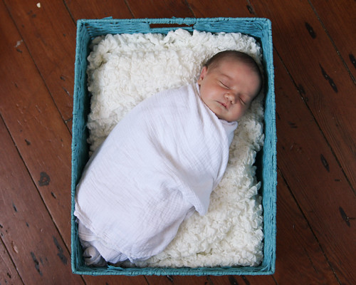 IMG_8038-2.jpg by pyjammy