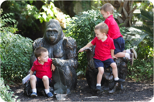 IMG_8890.jpg by pyjammy