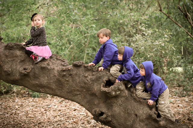 Favorite photo of 2012