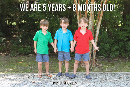 IMG_5183-Edit.jpg by pyjammy