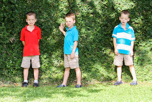 IMG_5935.jpg by pyjammy