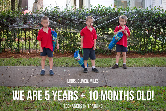 70 months old by pyjammy