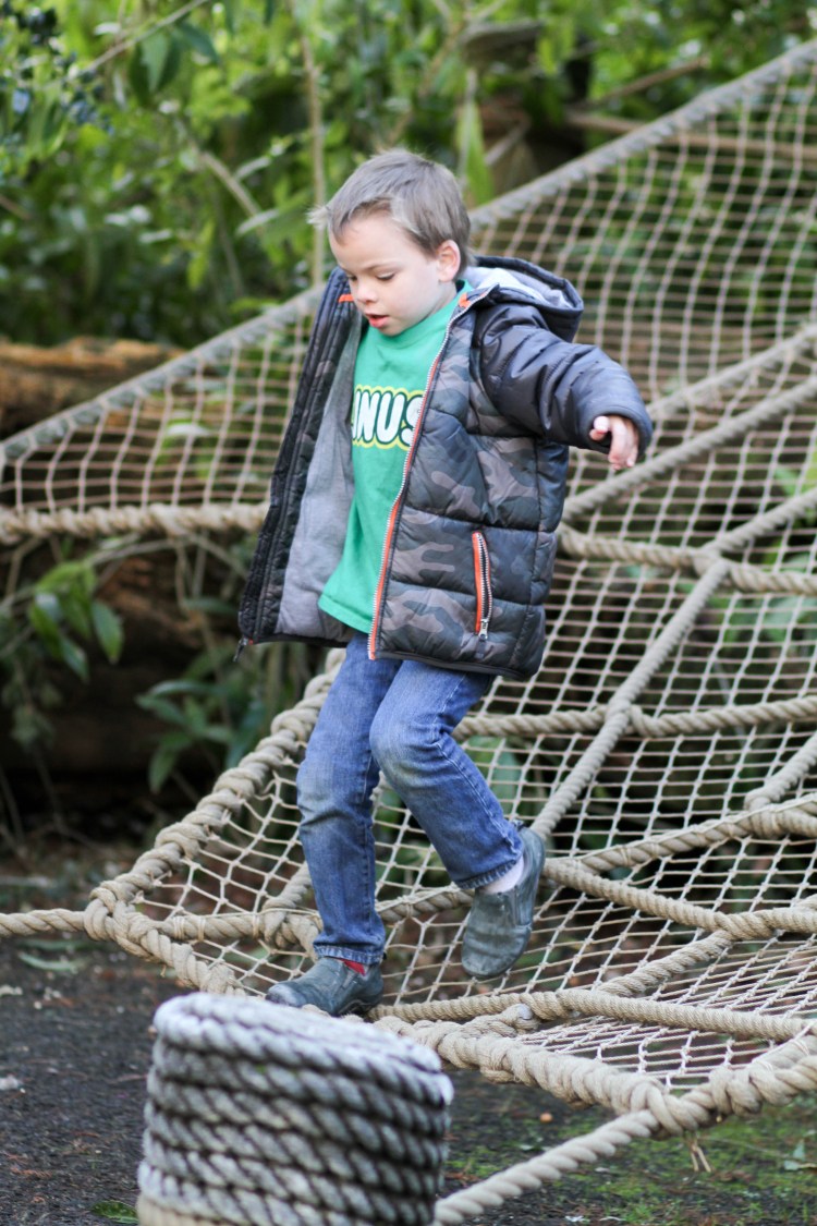 010314_11760558185_o