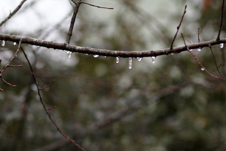 012814_12206197766_o