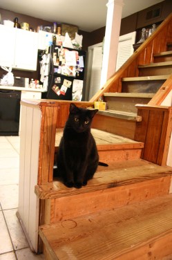 384991769_45125c7646_b