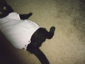 4545693524_fb605059bf_b