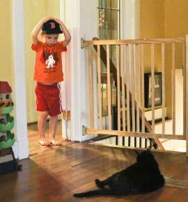 7189666213_75c470a845_k