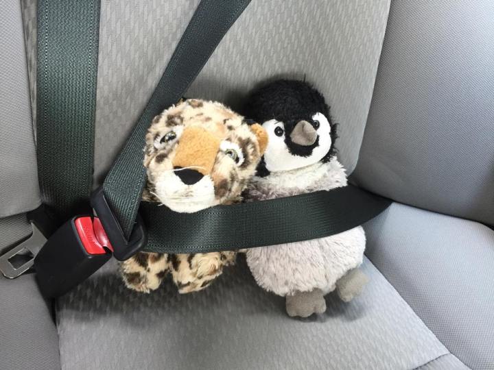 11836725_10205517974332185_7273805885564157482_n