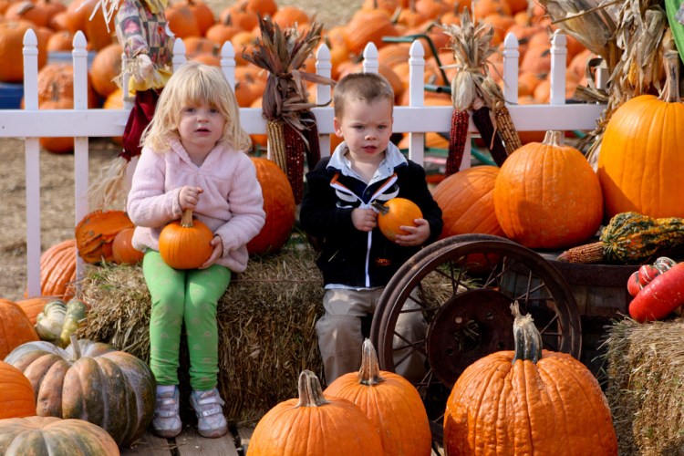 5116507560_12679ac78f_b(1)