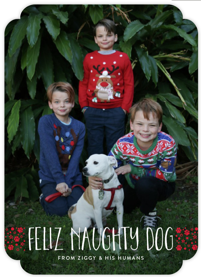 Screen Shot 2017-12-19 at 6.15.01 PM