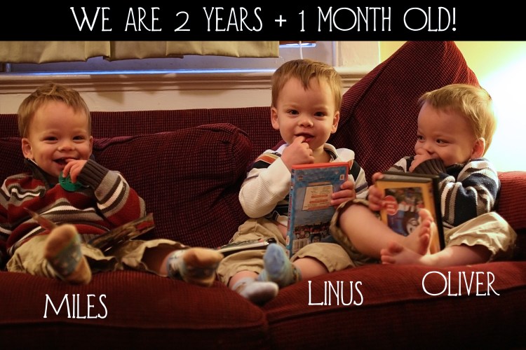 4245881679_bf5f9e91a5_o