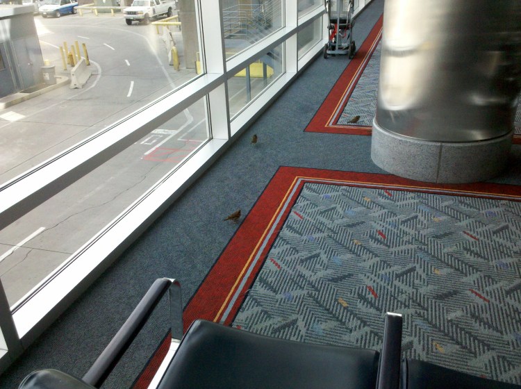 5074705075_e08770e4f4_o