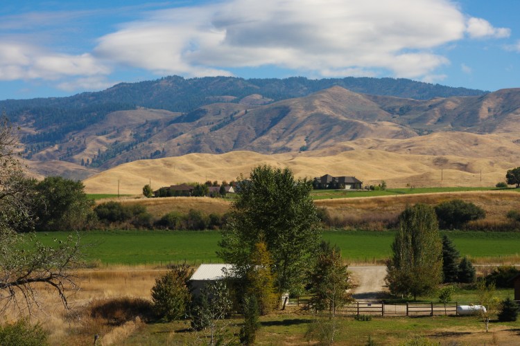 5080152468_ff4a3c6ffe_o