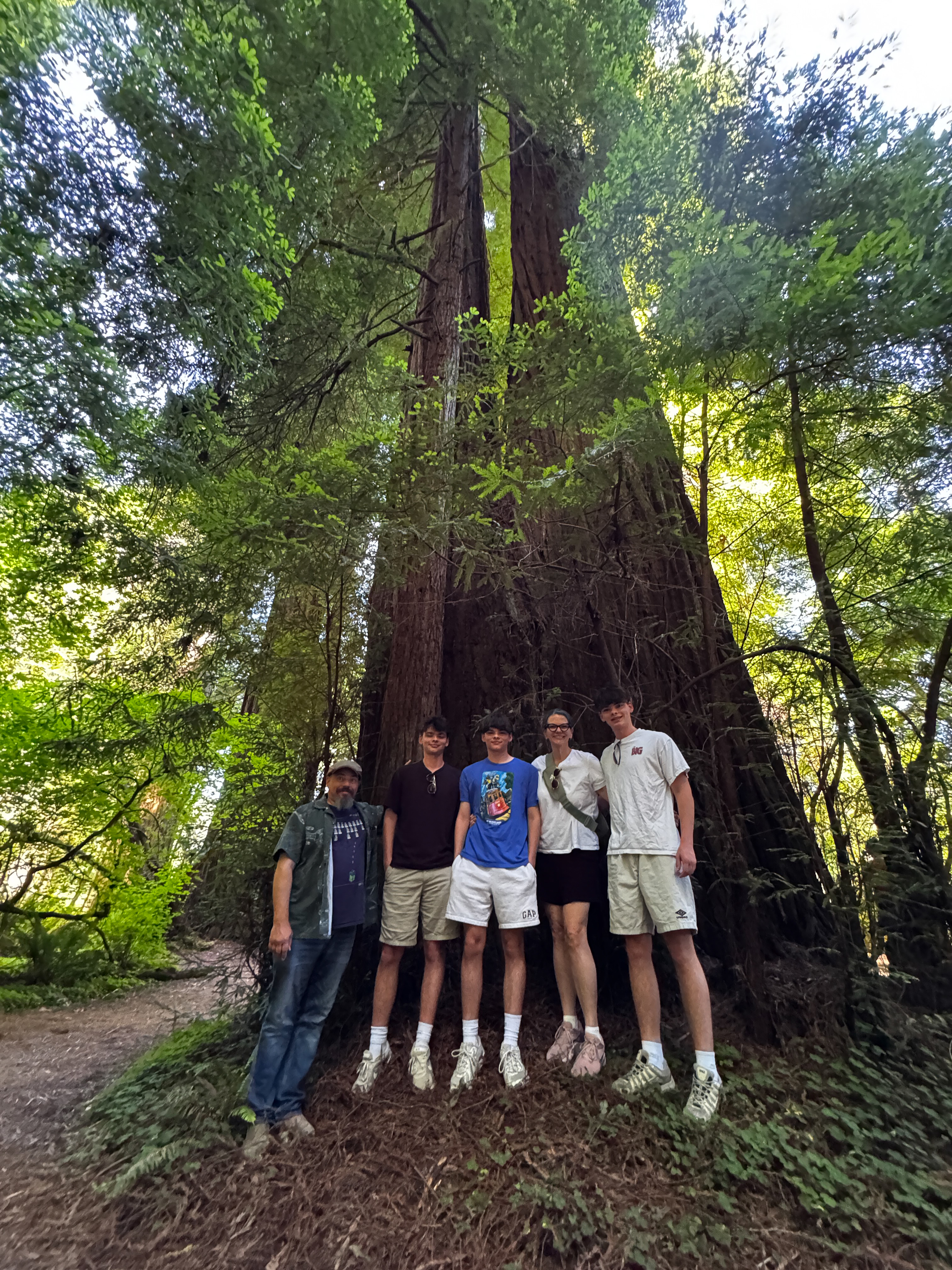 Driving the Pacific Northwest